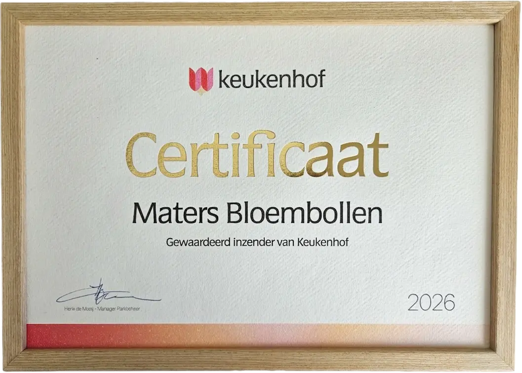 Keukenhof Certificate 1